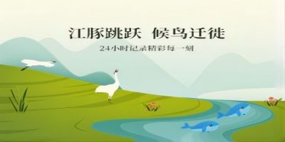 捕捉精彩每一刻 看坤达安助力24小时记录 江豚跳跃、候鸟迁徙的每一刻！