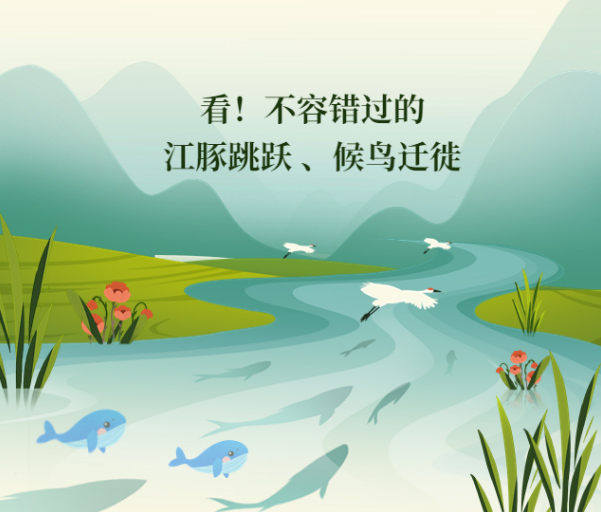 捕捉精彩每一刻 看坤达安助力24小时记录 江豚跳跃、候鸟迁徙的每一刻！