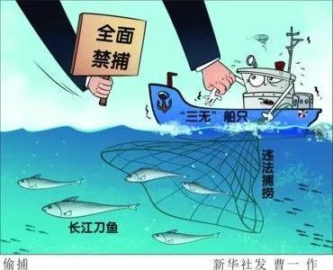 感恩在心|感恩自然，和谐共生！