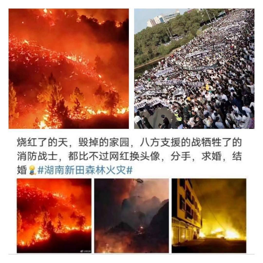 森林防火真的可以做到“防”吗？不慌！一个方法解决！