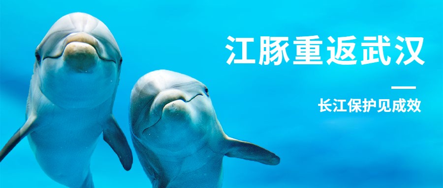 在线观看｜长江保护见成效：我们期待的那抹微笑又回来啦！