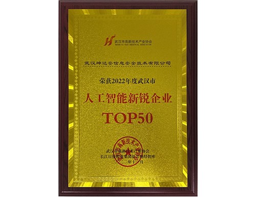 2022年武汉市人工智能新锐TOP50证书