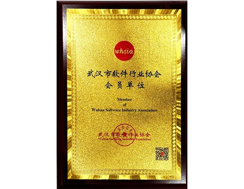 武汉市软件行业会员单位