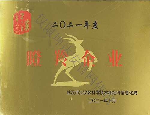 瞪羚企业