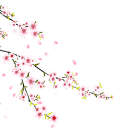 让你怦然心动的王府春景来袭！