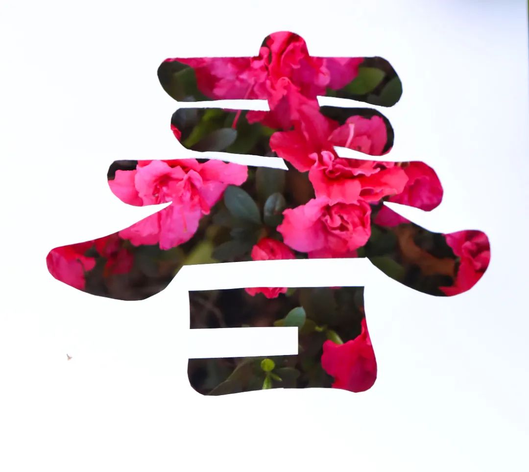 让你怦然心动的王府春景来袭！