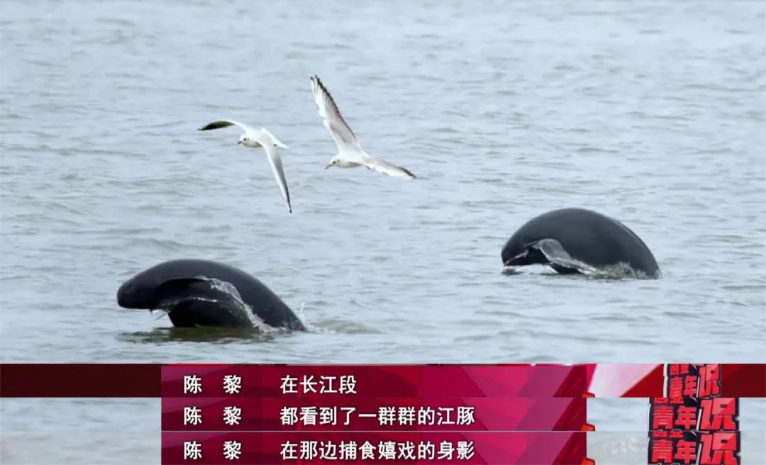 8月31日21：30分，带你看坤达安创始人用梦想点亮创业之路！