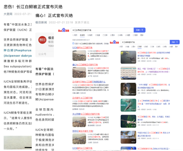 心痛！从未遇见，听闻已是永别！