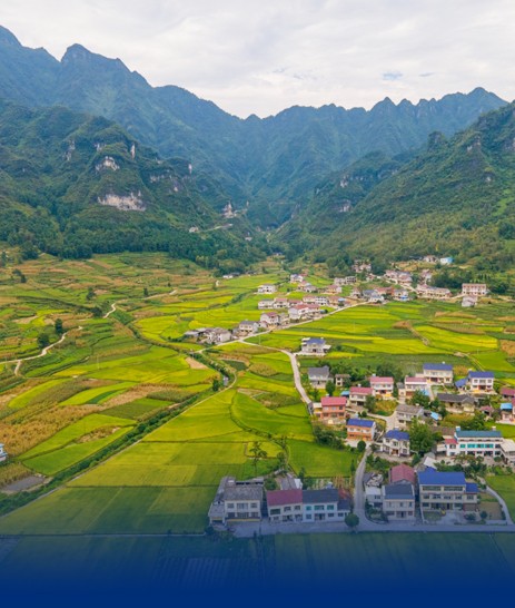 农业农村