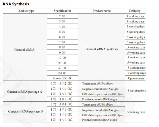 RNA synthesis service