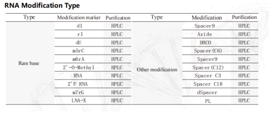 RNA synthesis service