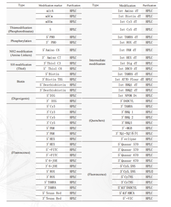 RNA synthesis service