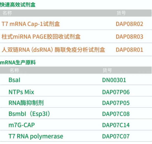 DIA-UP RNA synthesis service DIA-UP RNA synthesis service