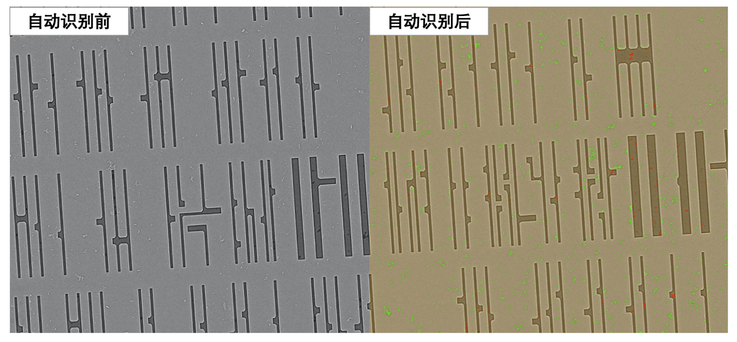 半导体缺陷分析服务能力