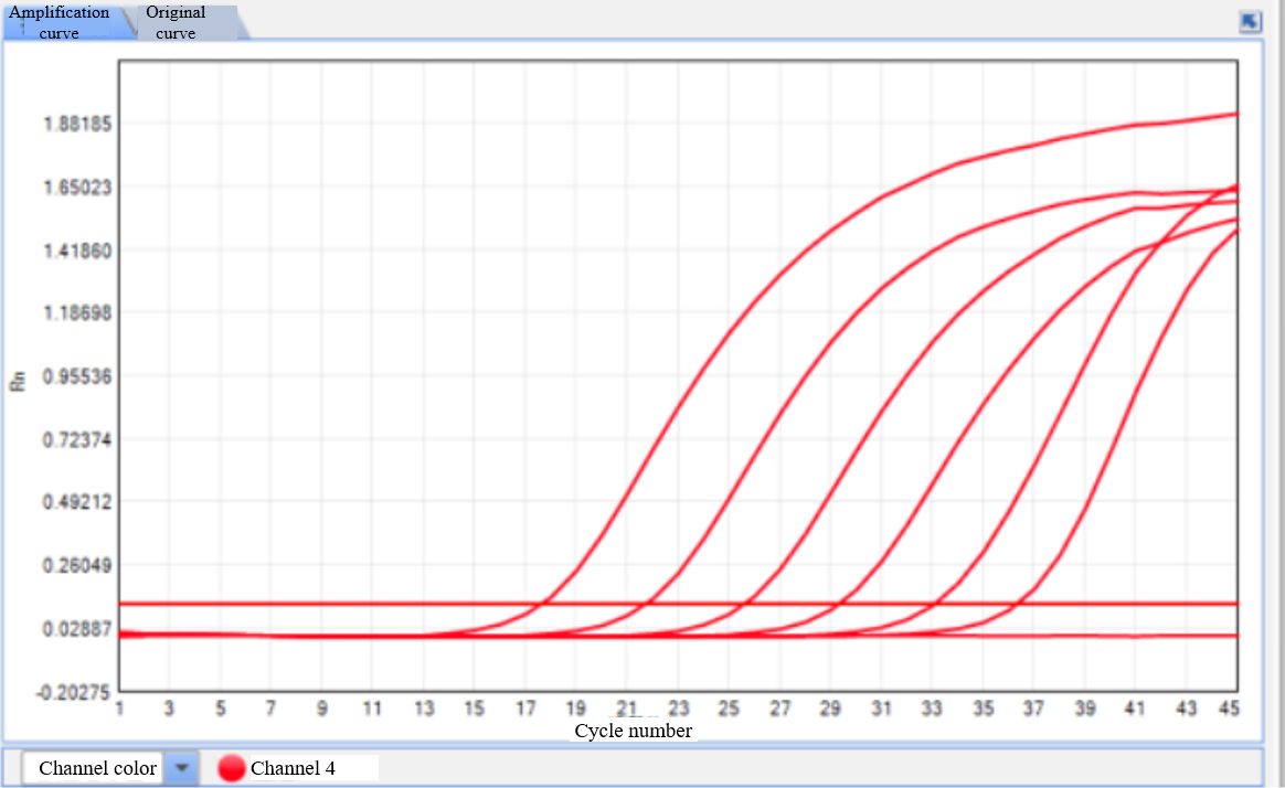 Probe Synthesis Service | High stability, sensitivity, and specificity, rely on which to obtain a pe Probe Synthesis Service | High stability, sensitivity, and specificity, rely on which to obtain a pe