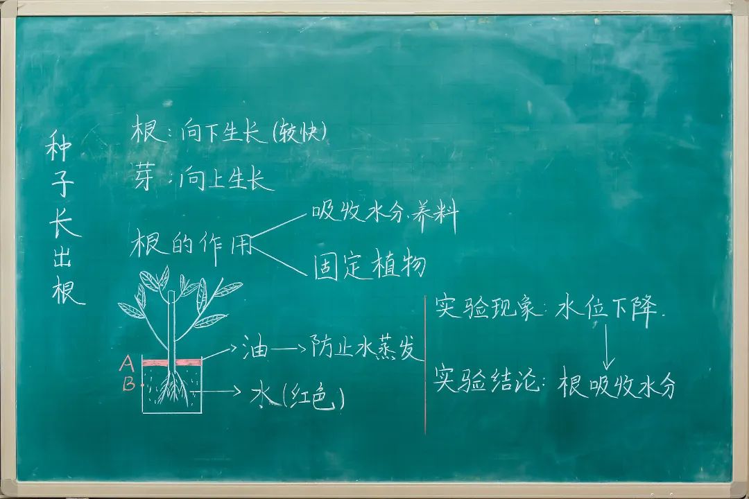 小学部老师的板书，写得太好了！是书法