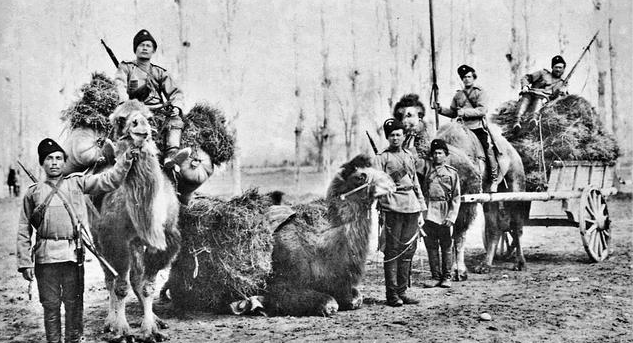 1950年我军在甘肃俘获女白匪头目,没想到她吐露出自己的红军身份 1950年我军在甘肃俘获女白匪头目,没想到她吐露出自己的红军身份