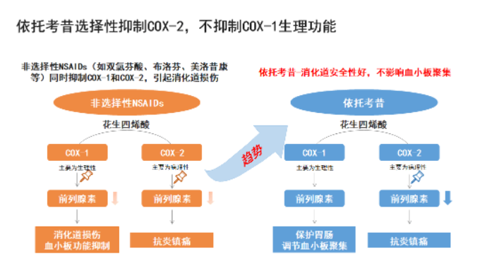 依托考昔片,长期服用胃肠道安全之选 依托考昔片,长期服用胃肠道安全之选