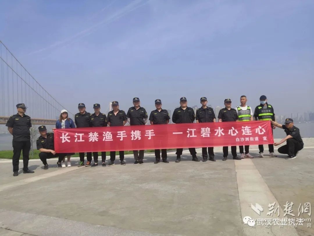 武昌区白沙洲街道：奏响生态环境“集结号” 全力守护一江碧水