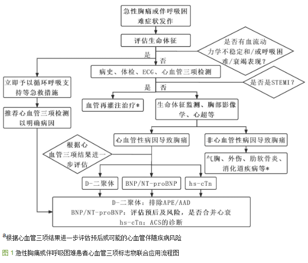 指南与共识 | 急诊胸痛心血管标志物联合检测专家共识(2022版) 指南与共识 | 急诊胸痛心血管标志物联合检测专家共识(2022版)
