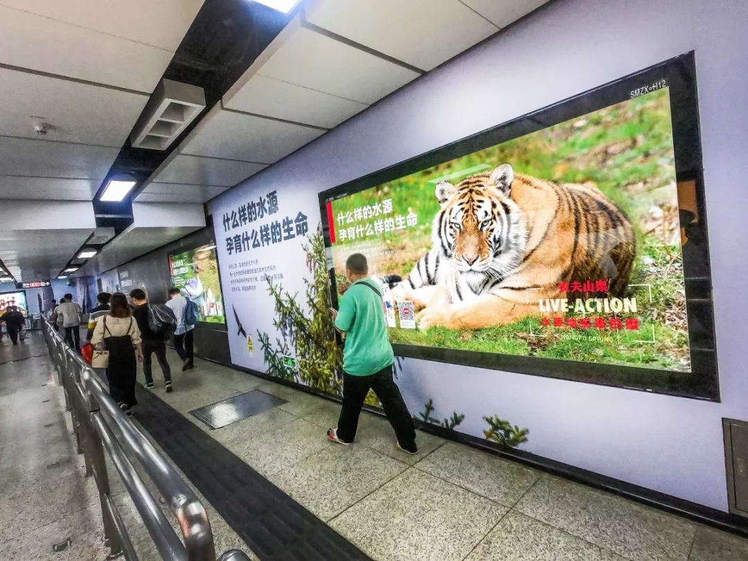 深圳地铁广告展现形式和价格的关联性 深圳地铁广告展现形式和价格的关联性