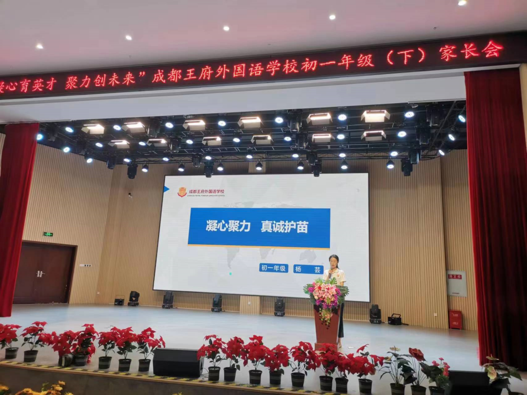 王府周周都精彩！一周简讯速览