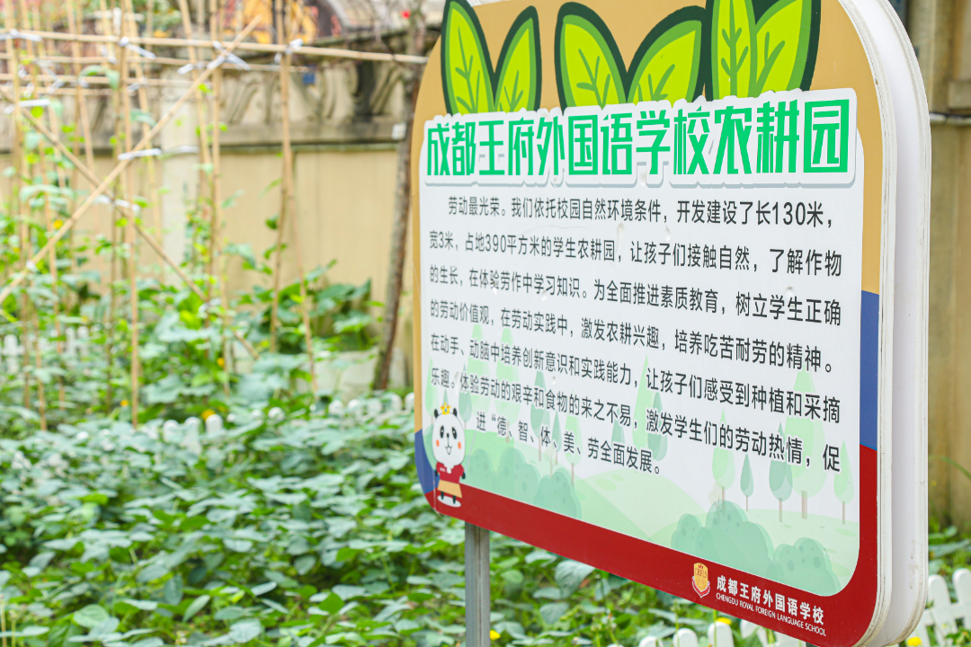 精品小班化、超高性价比，成都这所“美而雅”的学校“拍了拍你”