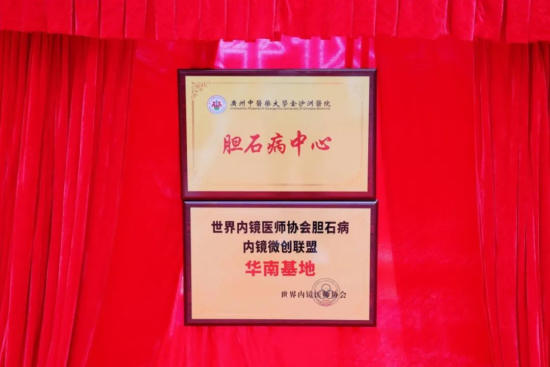 院内新闻|广州中医药大学金沙洲医院胆石病中心举行揭牌仪式 院内新闻|广州中医药大学金沙洲医院胆石病中心举行揭牌仪式