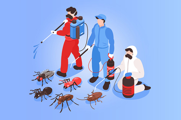 有害生物防制资质是怎么办理的,需要多长时间和费用? 有害生物防制资质是怎么办理的,需要多长时间和费用?