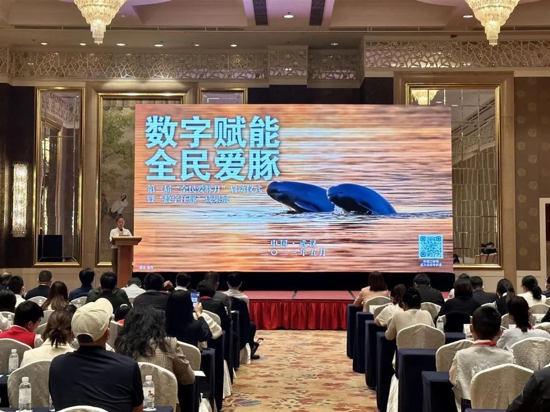 第三届“全民爱豚月”启动，“认养江豚”让你多一个萌宠！