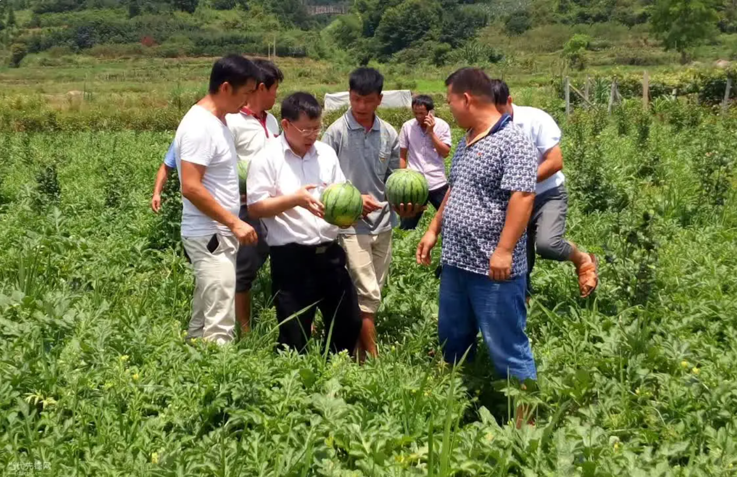 村干部是不是干部?武大教授:村干部一旦公务员化,后果不可想象 村干部是不是干部?武大教授:村干部一旦公务员化,后果不可想象