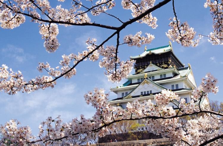 2024年第25届日本大阪国际音乐比赛