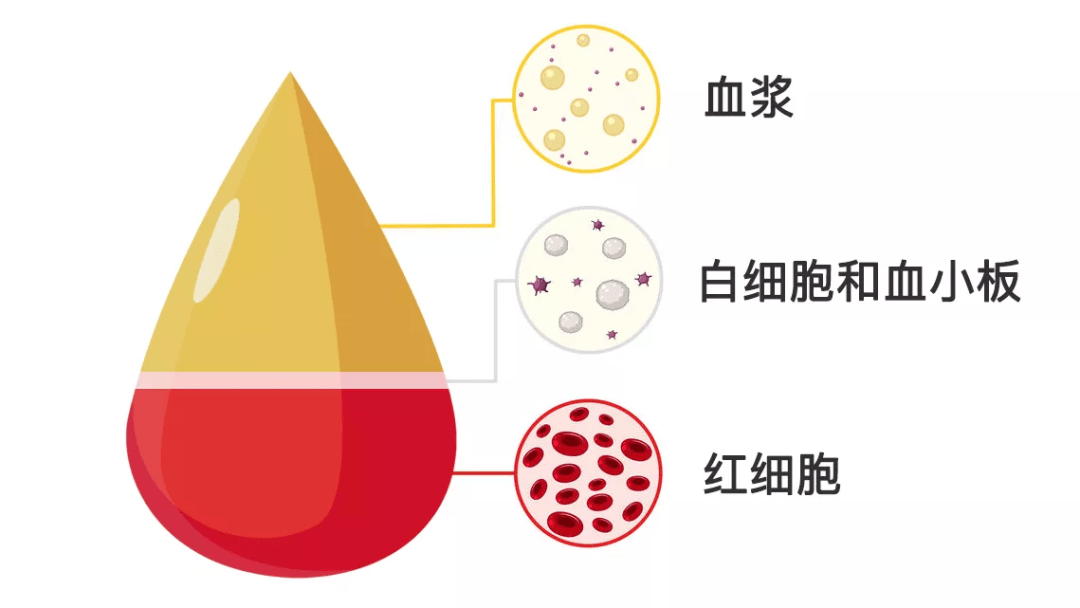 世界献血者日——汇聚青春正能量,无偿献血传爱心 世界献血者日——汇聚青春正能量,无偿献血传爱心