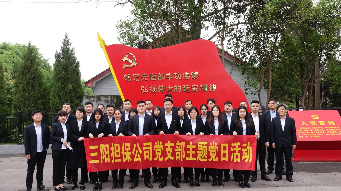陕西再担保体系先进经验系列报道（十三）西安市高陵区三阳融资担保有限公司