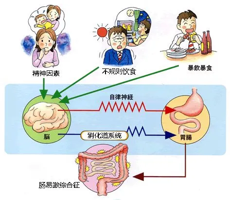 爱“激动”的肠炎,该怎么护理? 爱“激动”的肠炎,该怎么护理?