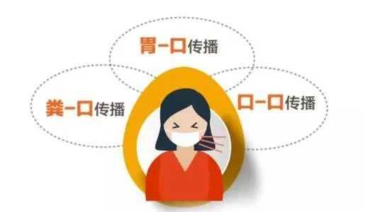 大众科普|关注幽门螺旋杆菌,护“胃”健康 大众科普|关注幽门螺旋杆菌,护“胃”健康