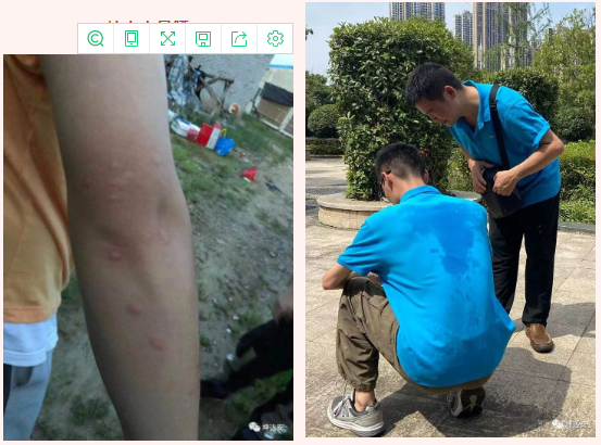 战高温 不服