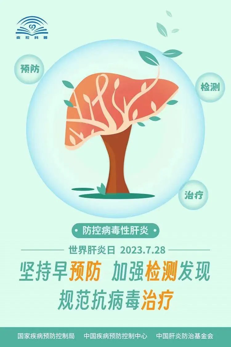 大众科普|守护健康肝脏,从你我做起~ 大众科普|守护健康肝脏,从你我做起~
