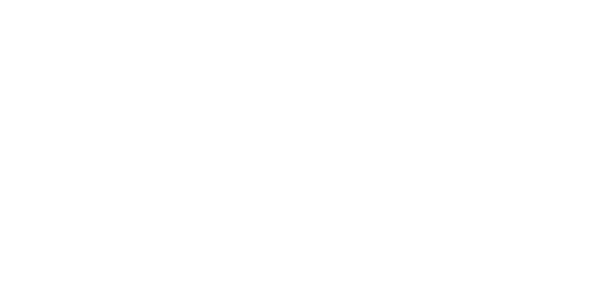 純電動(dòng)