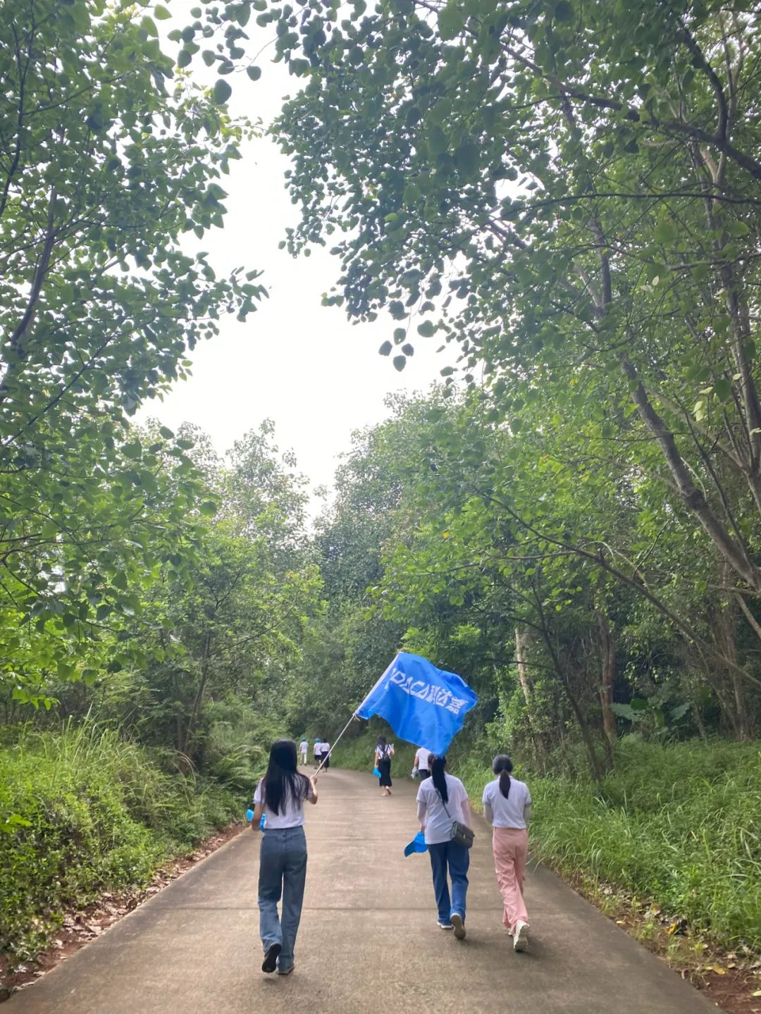 保持热爱 奔赴山海│科达嘉茂名湛江探秘之旅 保持热爱 奔赴山海│科达嘉茂名湛江探秘之旅