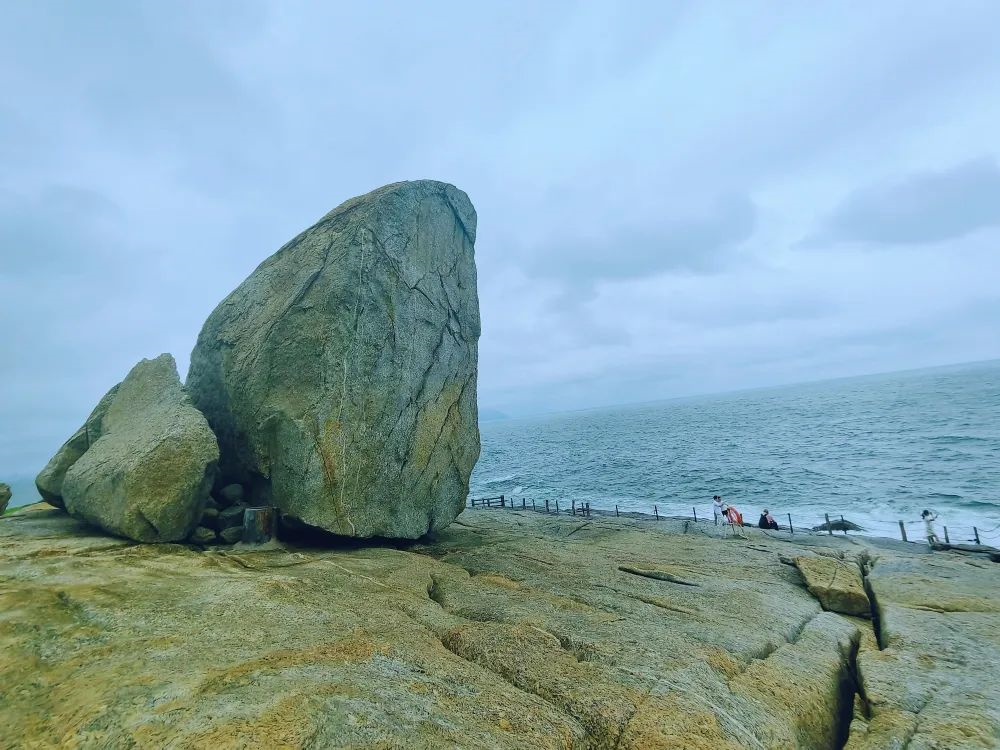 保持热爱 奔赴山海│科达嘉茂名湛江探秘之旅 保持热爱 奔赴山海│科达嘉茂名湛江探秘之旅