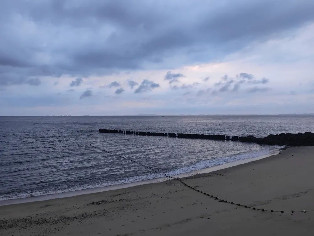 保持热爱 奔赴山海│科达嘉茂名湛江探秘之旅 保持热爱 奔赴山海│科达嘉茂名湛江探秘之旅
