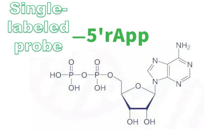 High Stability, Sensitivity, and Specificity Probe Synthesis