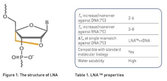 High Stability, Sensitivity, and Specificity Probe Synthesis