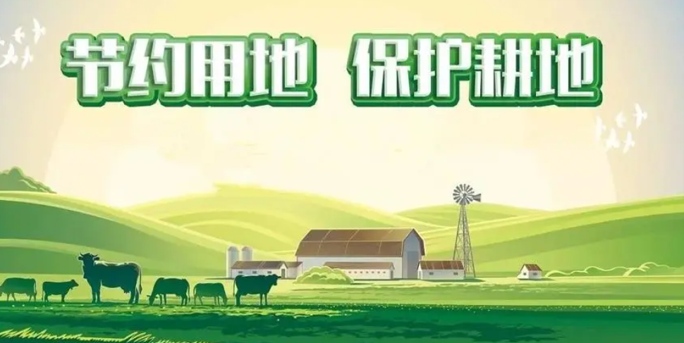 什么是耕地“两非”，耕地利用优先序是什么？