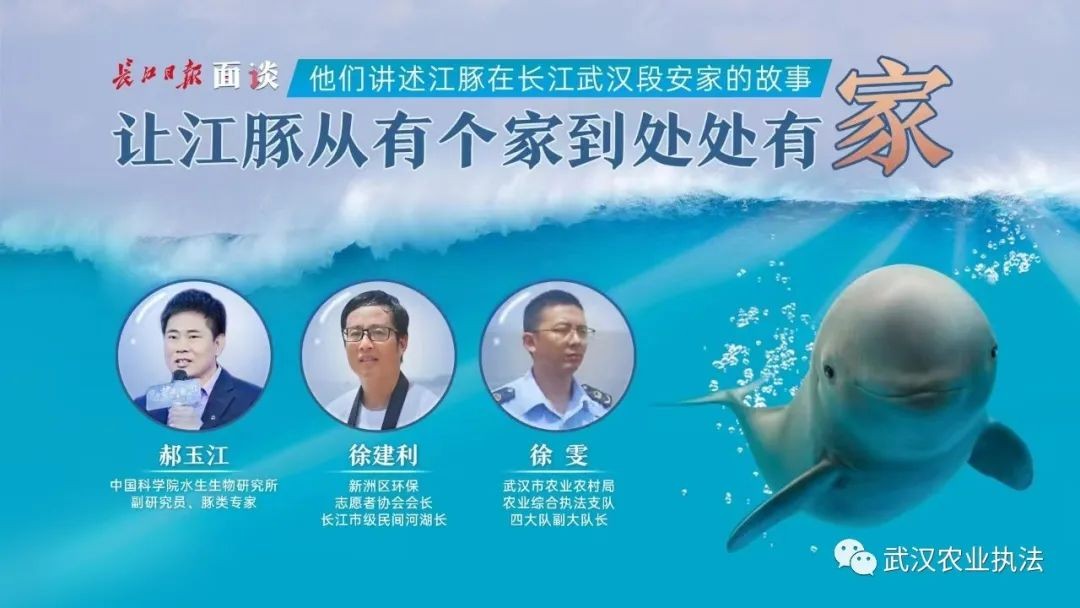 他们讲述江豚安家武汉的故事，让长江江豚从有个家到处处有家