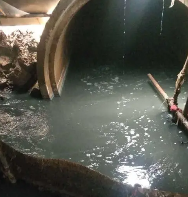 生态环境部水生态环境司负责同志就《关于进一步做好黑臭水体整治环境保护工作的通知》答记者问