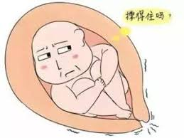 大众科普|宫颈机能不全--孕期的噩梦 大众科普|宫颈机能不全--孕期的噩梦