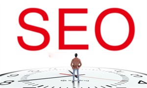做seo站的公司