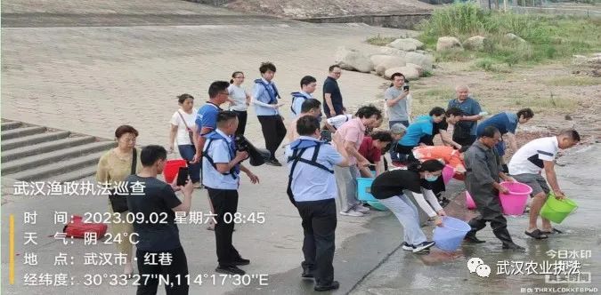 禁捕，武汉在行动之8月28日-9月3日